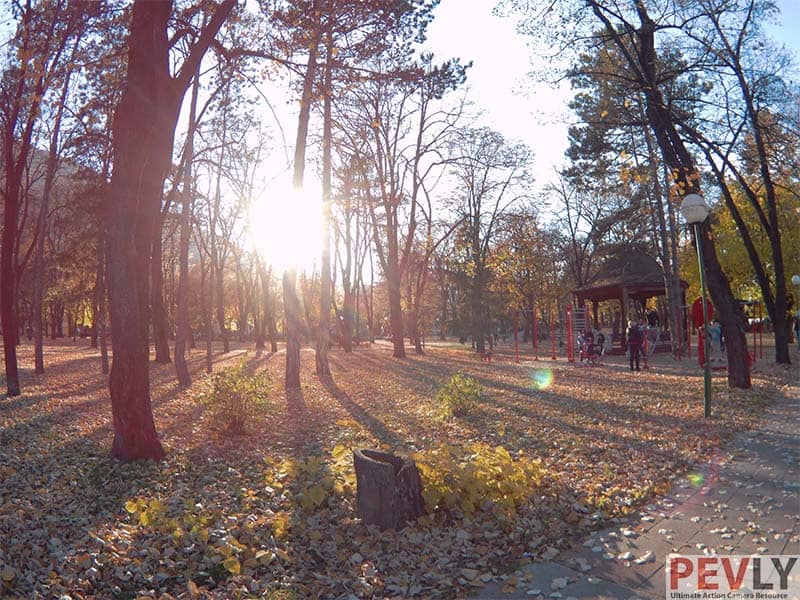 Fifefly 6s Photo Sample Sunset Woods Autumn